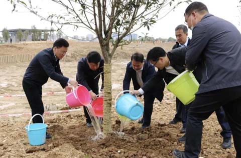 為建設新閩侯再添新綠 