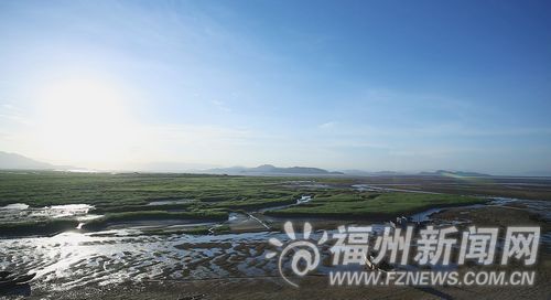 福州新聞網