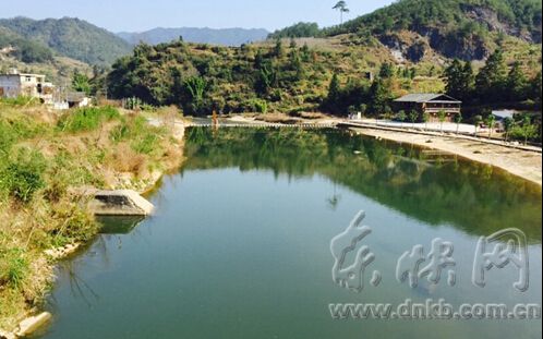 白鷺飛進(jìn)龍巖汀江國(guó)家濕地公園　解密背后的故事