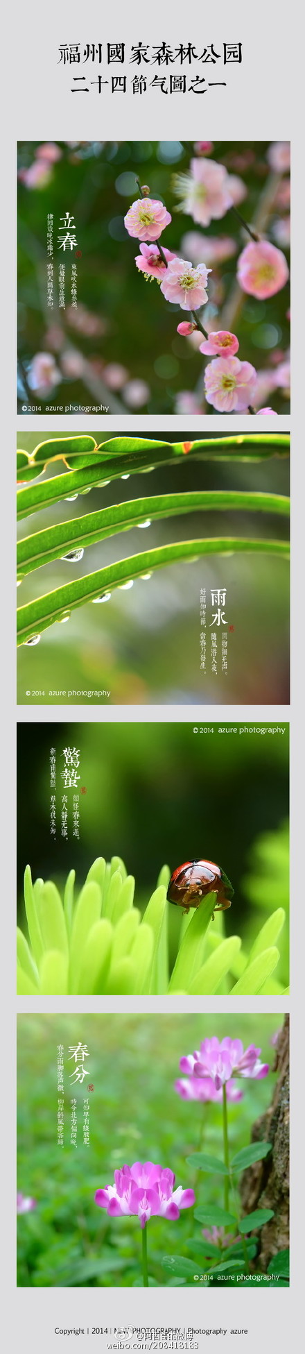 網(wǎng)友歷時一年拍森林公園24節(jié)氣圖　引一片點贊聲