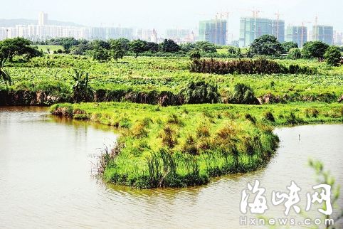 福州將新增多個濕地公園　閩江河口濕地升國家級