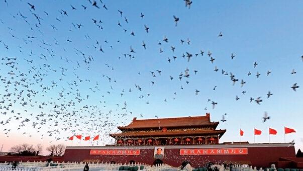 十八大后22中央官員空降地方：多是副部級(jí)別平調(diào)