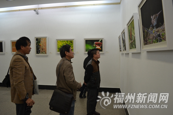 第3屆海峽兩岸生態(tài)攝影作品展開幕 百幅精品展出