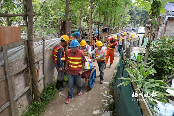 金山水系治理有新招　采用“水下森林”修復(fù)法