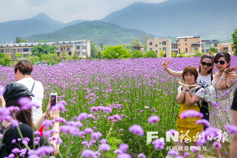 福州大力推進(jìn)農(nóng)村環(huán)境綜合整治　407個(gè)村莊舊貌換新顏