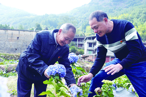 “冷清村落”變身“網(wǎng)紅花谷” 這位老黨員要記首功