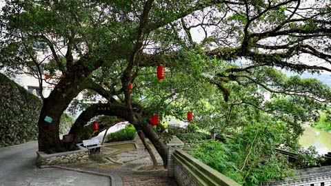 大目溪村：一個(gè)金盆藏玉帶的美麗鄉(xiāng)村！