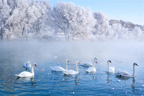 網(wǎng)絡(luò)中國節(jié)?大雪丨今日大雪