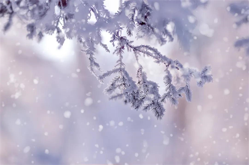網(wǎng)絡(luò)中國節(jié)?大雪丨今日大雪