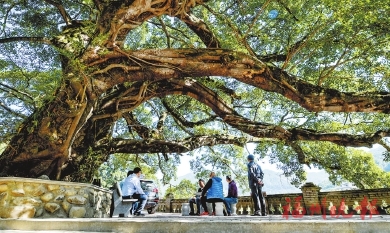 閩侯大目溪村的12年蛻變路