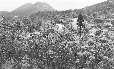 春色如許，獨(dú)愛鄉(xiāng)村風(fēng)景