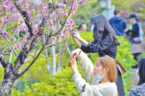 冬去千山醒　春來百花開