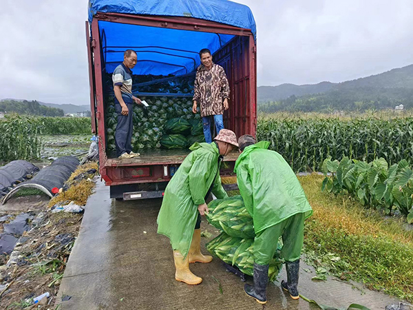 眾志成城  迎風而上