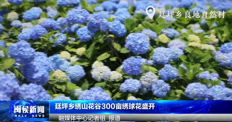 2025年6月4日閩侯新聞