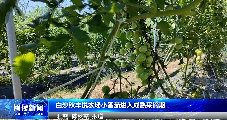 2025年6月11日閩侯新聞