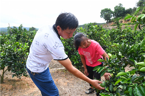 產(chǎn)業(yè)扶貧摘“窮帽” 脫貧致富奔小康