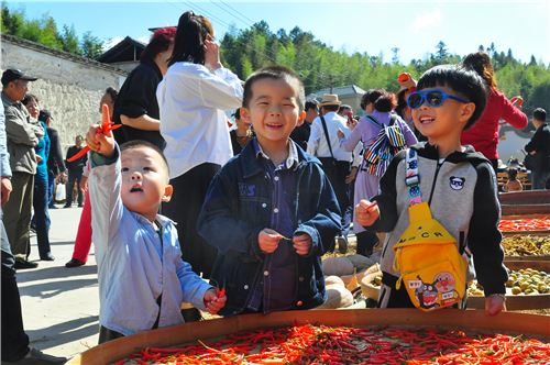 游古厝 賞秋色 享“柿柿”如意