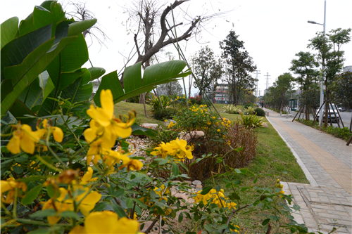 從“臟亂差”變身“口袋公園”