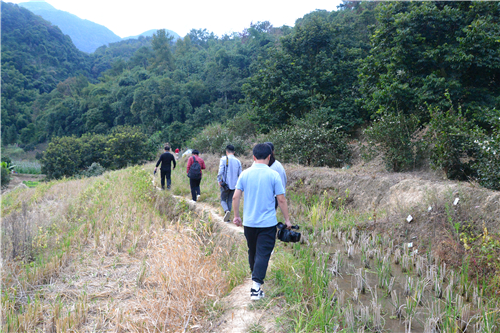 深入南坑村 破解鄉(xiāng)村振興秘籍