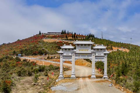 映山杜鵑春來早 鄉(xiāng)村振興畫卷新