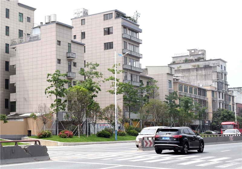 東南汽車城丨“顏值”up,！這條通往東臺工業(yè)園區(qū)的馬路靚了