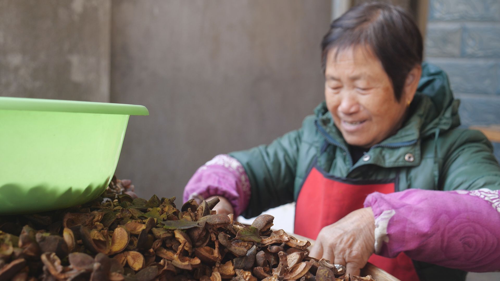 看閩侯丨色澤金黃,、香飄四溢的茶油是如何“煉”成的？