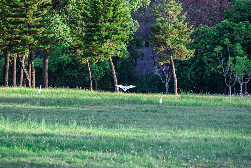 生態(tài)美丨占地1800畝的公園式酒店,，愛了！在福州閩侯這里……