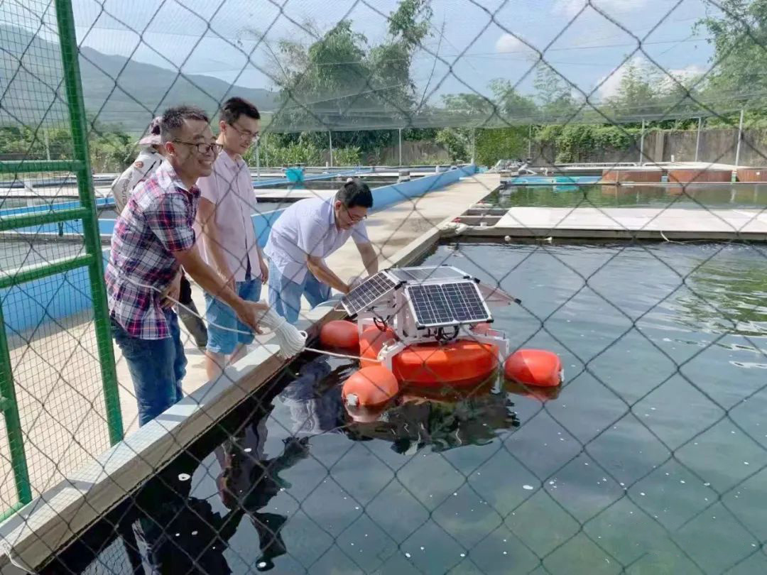 一條游向世界的“中國魚”背后 ——以精細化氣象服務(wù)呵護金魚養(yǎng)殖