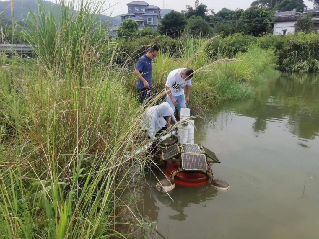 一條游向世界的“中國魚”背后 ——以精細化氣象服務(wù)呵護金魚養(yǎng)殖