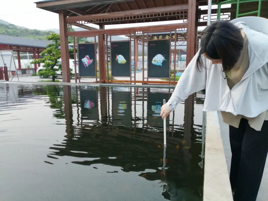 一條游向世界的“中國魚”背后 ——以精細化氣象服務(wù)呵護金魚養(yǎng)殖