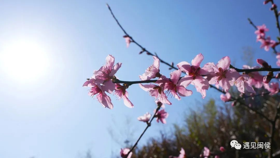 看閩侯丨想看“花花世界”,？安排,！