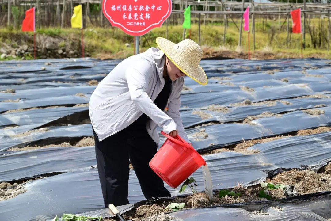 福州住房公積金中心在閩侯縣開展“我在鴻尾有畝田”認領活動