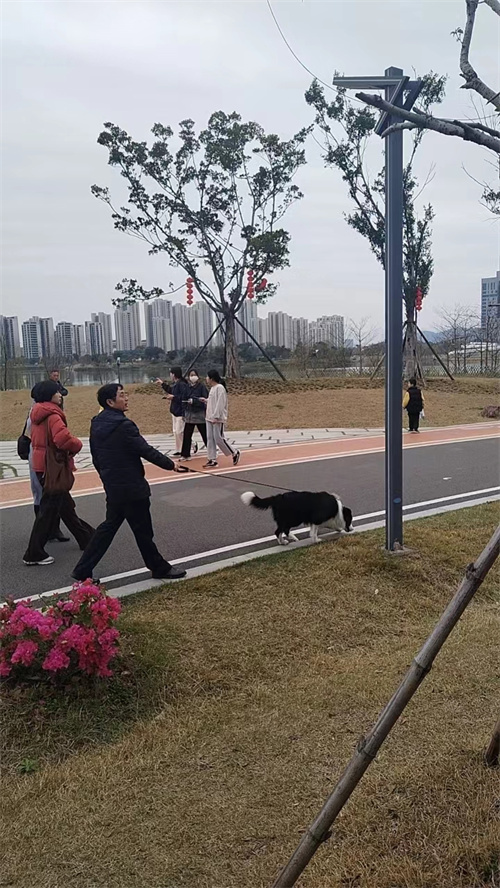 這些不文明旅游行為讓公園“花容失色”