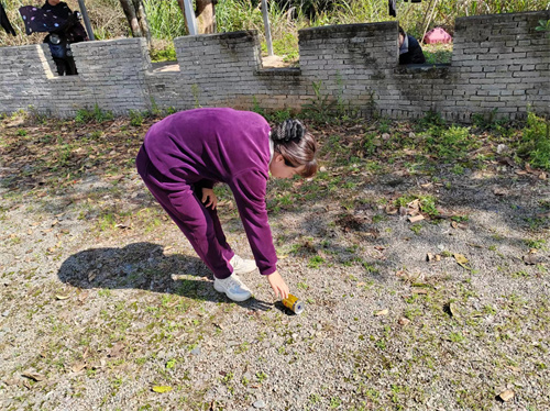 文明舉止 讓公園的景色更加美麗