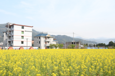 今夏部分區(qū)域試運營,！閩侯又添一旅游小鎮(zhèn)
