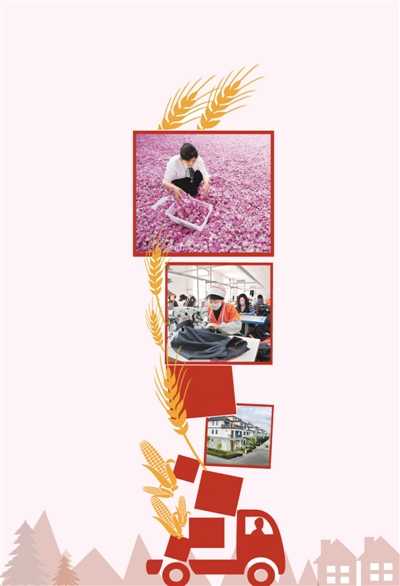 習近平論“三農”
